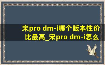 宋pro dm-i哪个版本性价比最高_宋pro dm-i怎么样能买吗
